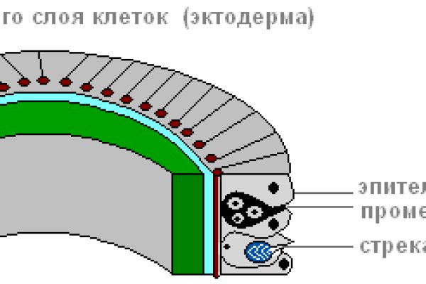 Свежие ссылки кракен